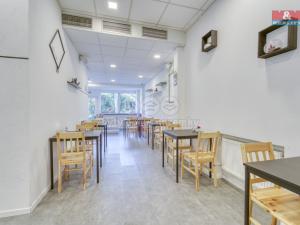 Pronájem obchodního prostoru, Třemošná, Plzeňská, 100 m2