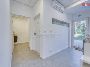 Pronájem obchodního prostoru, Třemošná, Plzeňská, 100 m2