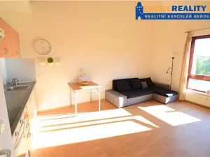 Pronájem bytu 2+kk, Beroun, Palouček, 46 m2