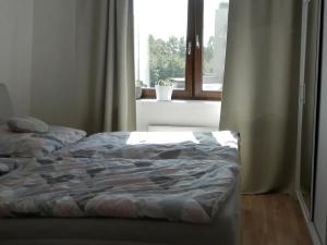Pronájem bytu 2+kk, Brno, Řípská, 59 m2