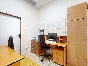Prodej výrobních prostor, Týnec nad Sázavou, Družstevní, 308 m2