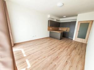 Pronájem bytu 2+kk, Brno, Plotní, 49 m2