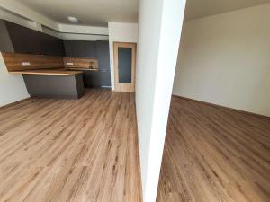 Pronájem bytu 2+kk, Brno, Plotní, 49 m2