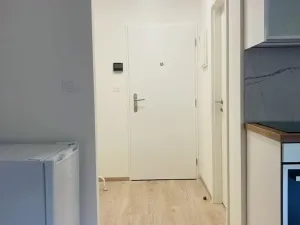 Pronájem bytu 1+kk, Praha - Vršovice, Kubánské náměstí, 25 m2