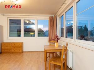 Pronájem bytu 1+kk, Praha - Libeň, Braunerova, 30 m2