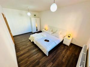 Pronájem bytu 2+kk, Jihlava, Kosmákova, 45 m2