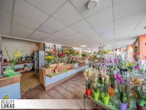 Pronájem obchodního prostoru, Ostrava, 28. října, 113 m2