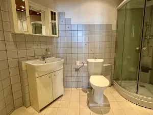 Pronájem bytu 1+1, Praha, 55 m2