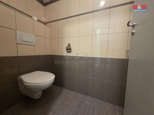 Pronájem obchodního prostoru, Kolín - Kolín IV, Jaselská, 114 m2