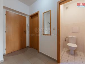 Pronájem bytu 1+kk, Karlovy Vary - Stará Role, Nejdlova, 33 m2