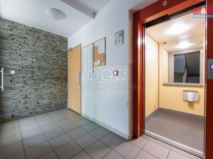 Pronájem bytu 1+kk, Karlovy Vary - Stará Role, Nejdlova, 33 m2