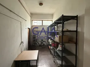 Prodej obchodního prostoru, Dešná, 268 m2