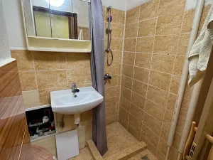 Prodej bytu 1+kk, Karviná, Einsteinova, 28 m2