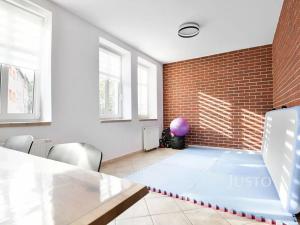 Prodej vícegeneračního domu, Ústí nad Labem, Králova výšina, 300 m2