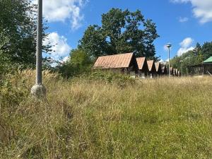 Prodej ubytování, Bílé Poličany, 1000 m2