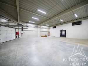 Pronájem obchodního prostoru, Kolín, Havlíčkova, 541 m2