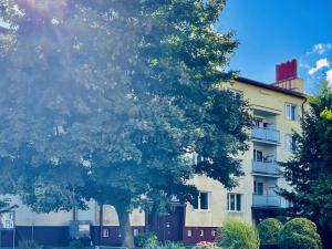 Pronájem bytu 2+1, Břasy, 52 m2