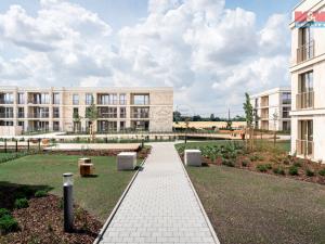 Pronájem bytu 2+kk, Brandýs nad Labem-Stará Boleslav - Brandýs nad Labem, Dřevčická, 58 m2