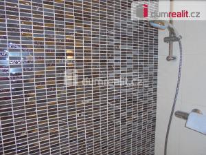 Pronájem bytu 1+kk, Praha - Bubeneč, U studánky, 27 m2