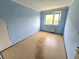 Prodej bytu 3+1, Ústí nad Labem, Brandtova, 80 m2