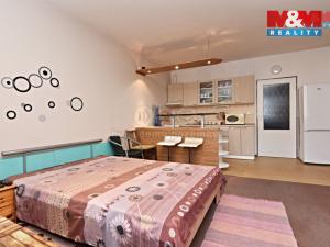 Pronájem bytu 2+kk, Mladá Boleslav - Mladá Boleslav II, 17. listopadu, 55 m2