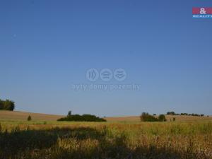 Prodej lesa, Rychnovek, 16800 m2