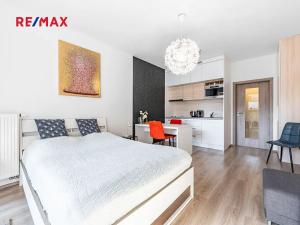 Pronájem bytu 1+kk, Praha - Vršovice, Petrohradská, 29 m2