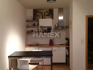Pronájem bytu 1+kk, Praha - Břevnov, 8. listopadu, 35 m2