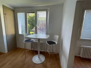 Pronájem bytu 1+1, Ústí nad Labem, Bratří Čapků, 40 m2