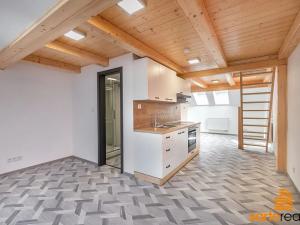 Pronájem atypického bytu, Františkov nad Ploučnicí, 61 m2