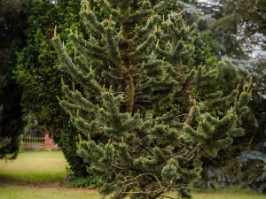 Prodej rodinného domu, Březno, 380 m2