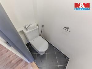 Prodej bytu 4+1, Lučany nad Nisou, 210 m2