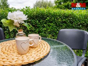 Prodej chalupy, Pokojov, 45 m2