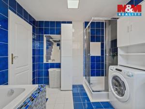 Prodej rodinného domu, Nechanice - Lubno, 238 m2
