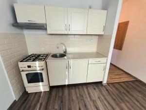 Pronájem bytu 1+1, Ústí nad Labem, Zvonková, 35 m2