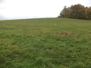 Dražba louky, Vlastiboř, 23043 m2