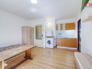 Pronájem bytu 1+kk, Praskolesy, 21 m2