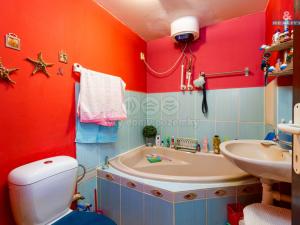 Prodej rodinného domu, Horka nad Moravou, Míru, 240 m2