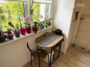 Pronájem bytu 2+1, Valašské Meziříčí, Seifertova, 56 m2