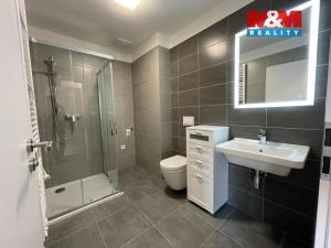 Pronájem bytu 1+kk, Olomouc, Lazecká, 38 m2