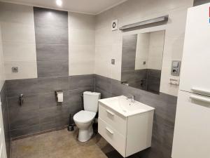 Pronájem bytu 1+1, Jablonec nad Nisou, Pražská, 50 m2