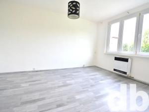 Prodej bytu 1+1, Toužim, Plzeňská, 38 m2