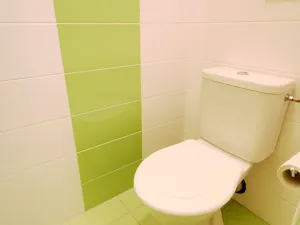 Pronájem bytu 1+1, Brno, Kubíčkova, 30 m2