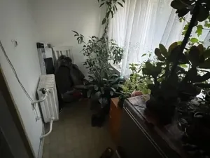 Prodej vícegeneračního domu, Lužná, Čejkovka, 250 m2