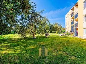 Prodej bytu 1+kk, Říčany, Purkyňova, 28 m2