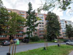 Pronájem bytu 1+1, Frýdek-Místek, K Hájku, 38 m2