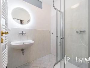 Pronájem rodinného domu, Doloplazy, 264 m2