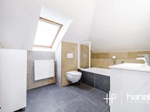 Pronájem rodinného domu, Doloplazy, 264 m2