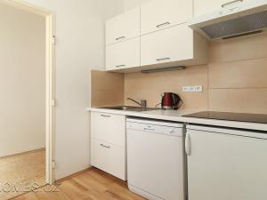 Pronájem bytu 1+1, Praha - Nové Město, Opletalova, 35 m2
