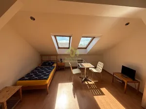 Pronájem bytu 1+kk, Plzeň, Lindauerova, 26 m2